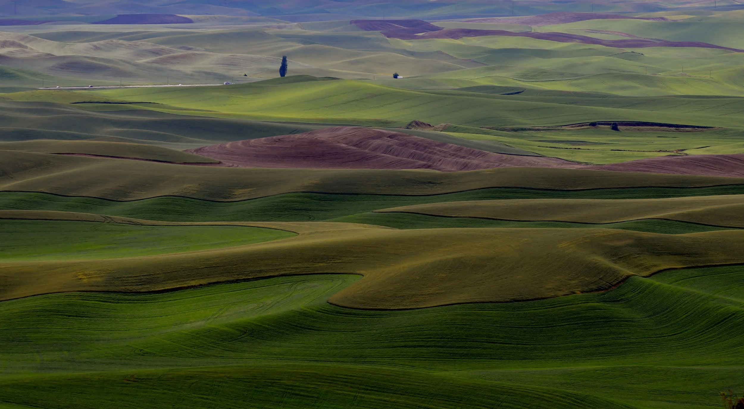 Nature's Palette.JPG