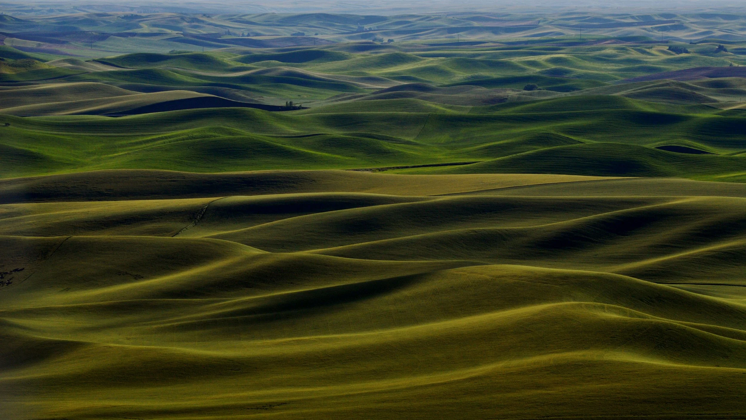 Echoes of shadows.JPG