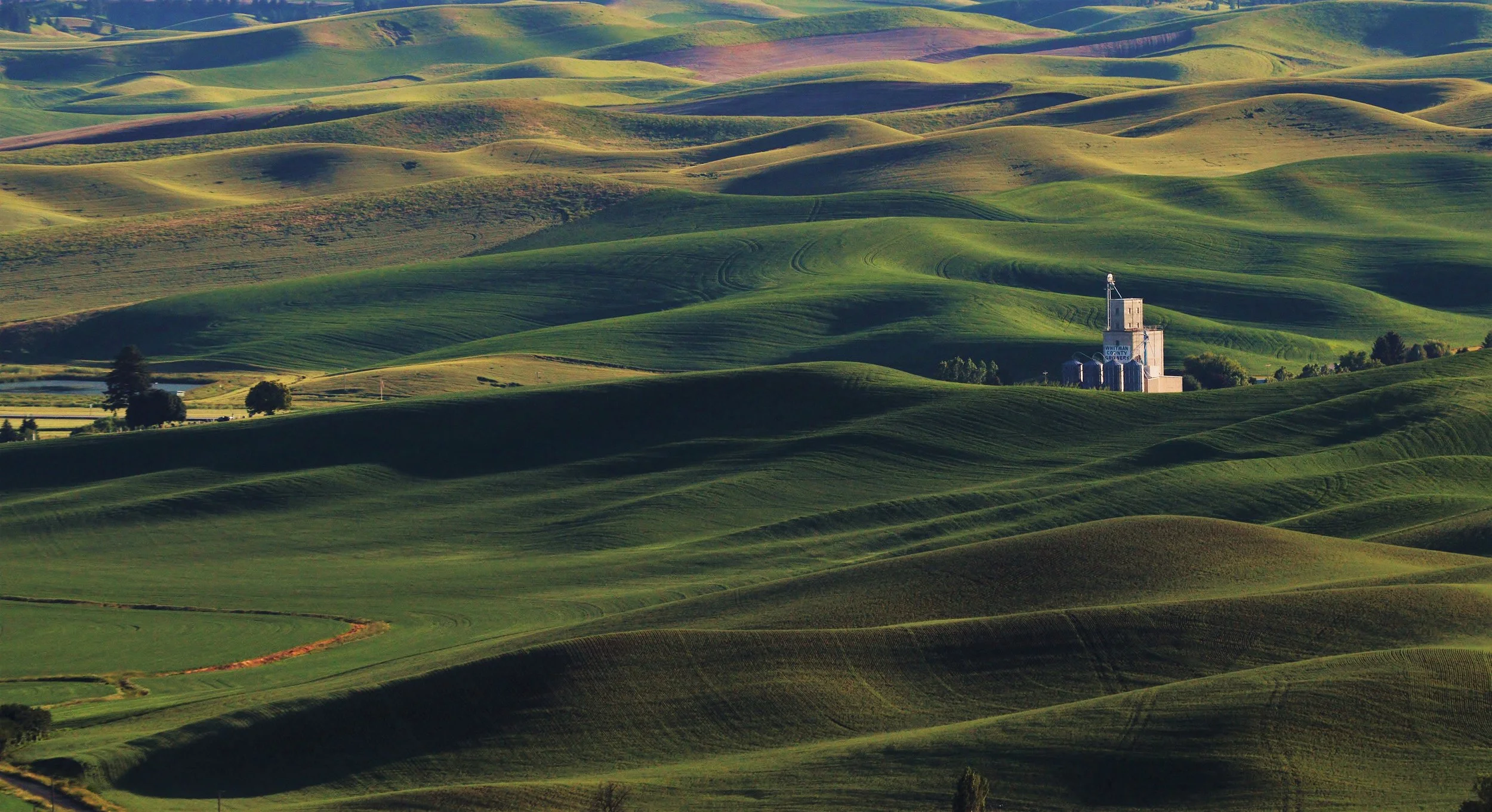 Echoes of silence.JPG