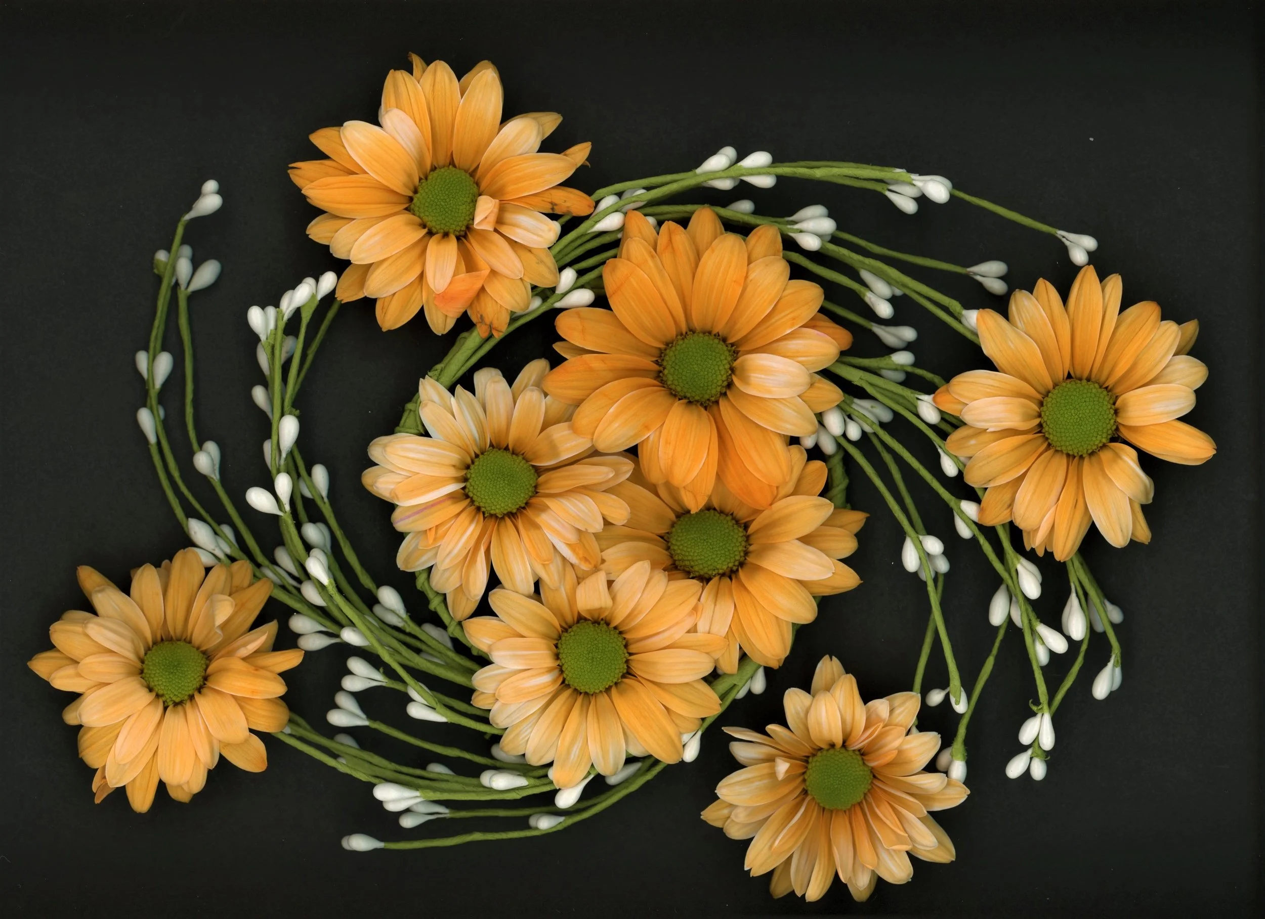 Stillness in Motion.jpg