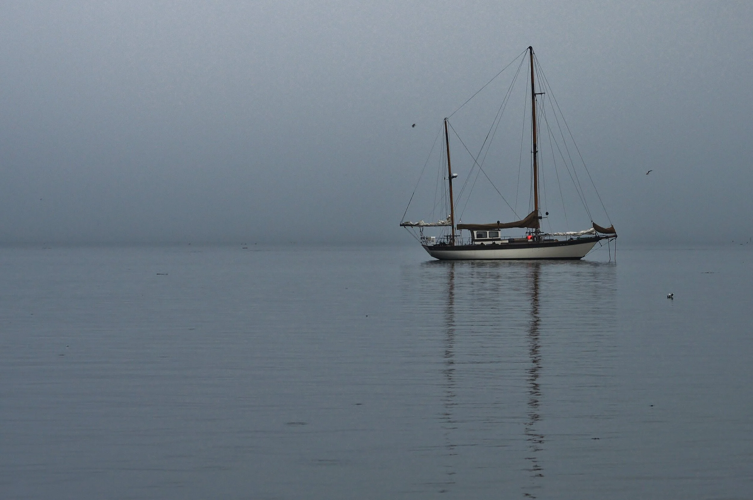 Anchored in Fog.JPG