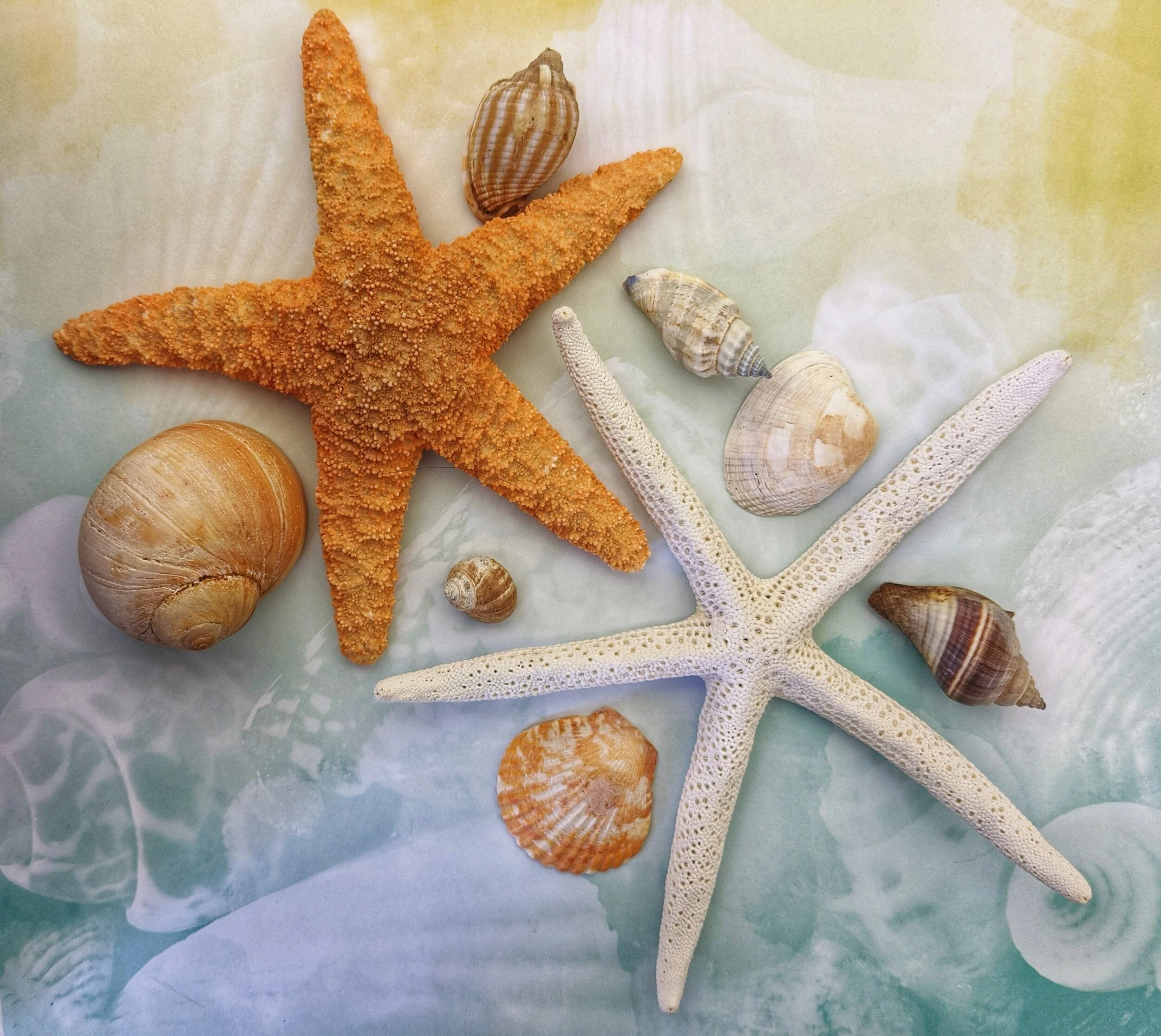 Seascape Twin D.jpeg