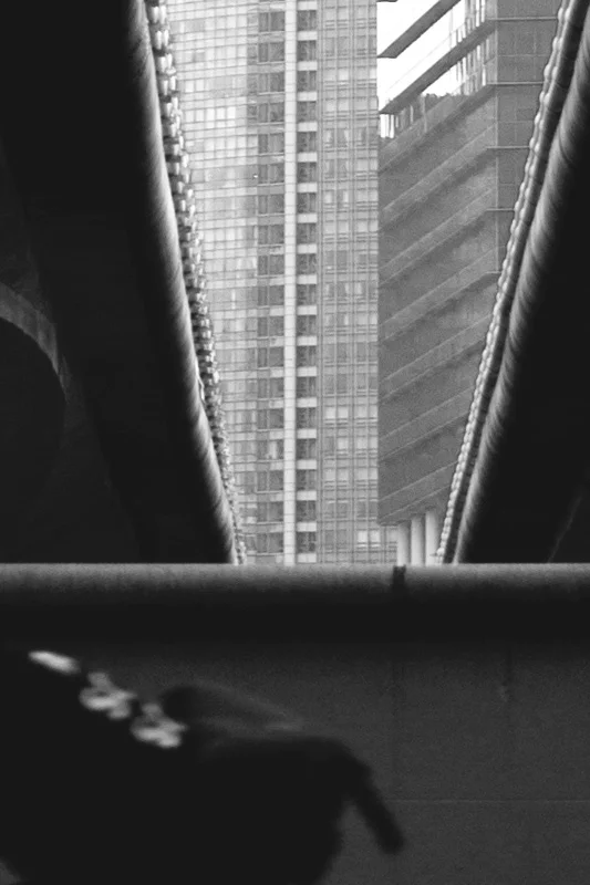 _P8A6507-b.jpg