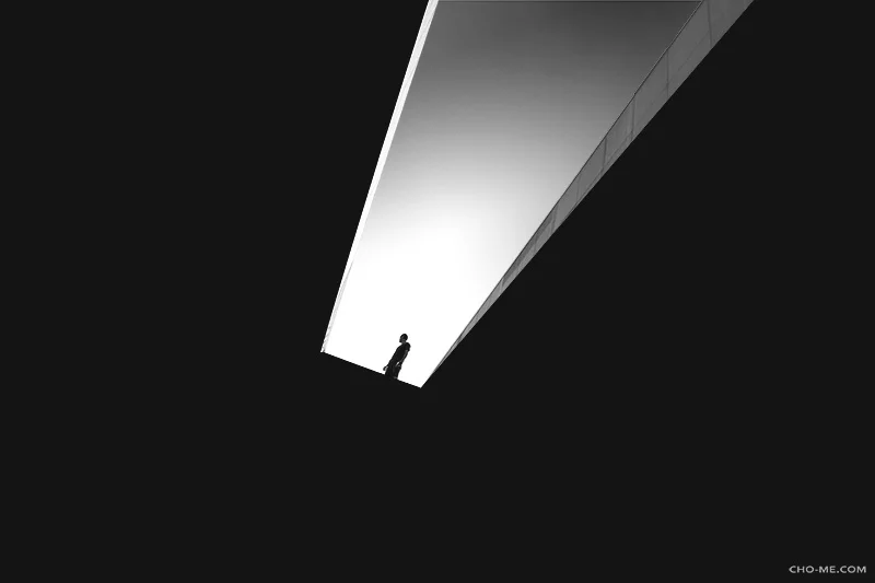 INSIGHT