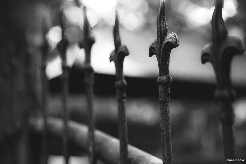 The gate in the dream