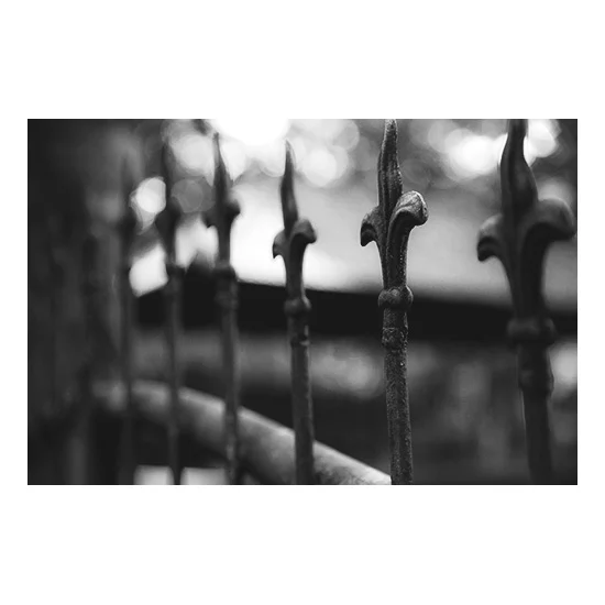THE GATE IN THE DREAM