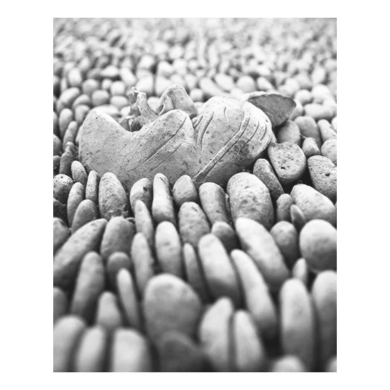 HEART TRUTH