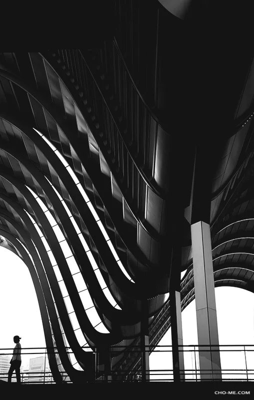 WAVE