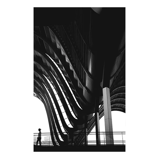 WAVE