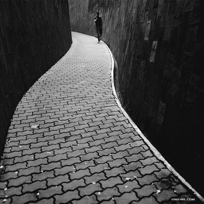 FOLLOW THE HEART