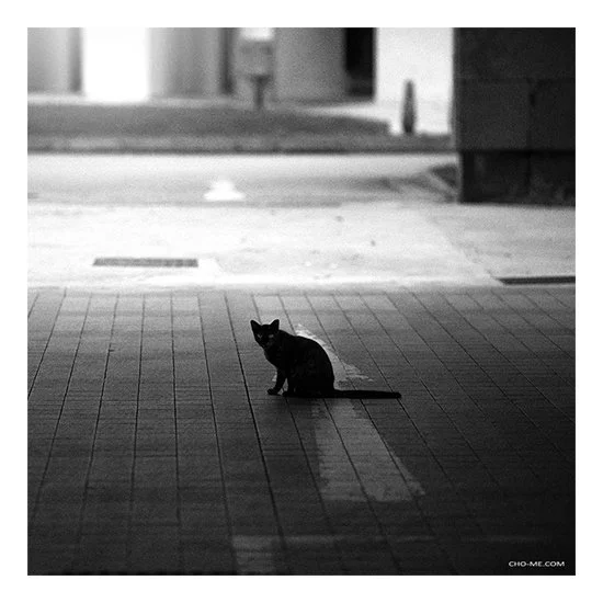 Watchful