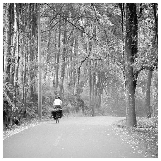 TRAIL