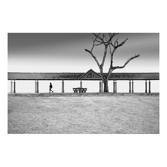 SHELTER