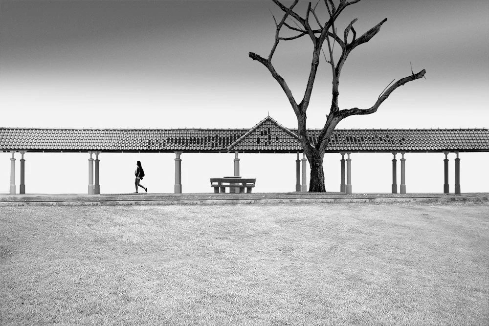 THE SHELTER