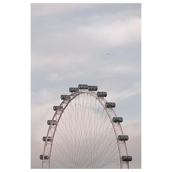 Fly Higher