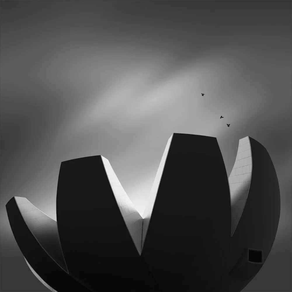 lotus-grasp