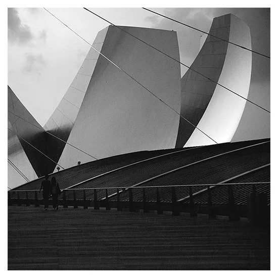 Mesmerize