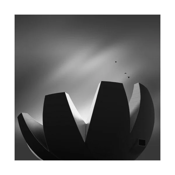 LOTUS GRASP