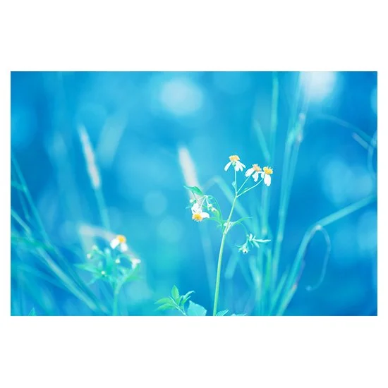 WHIMSICAL DAY