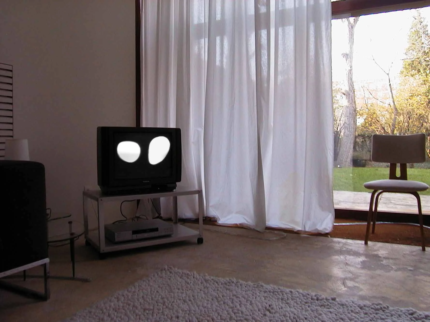 DVinsitu1.jpg
