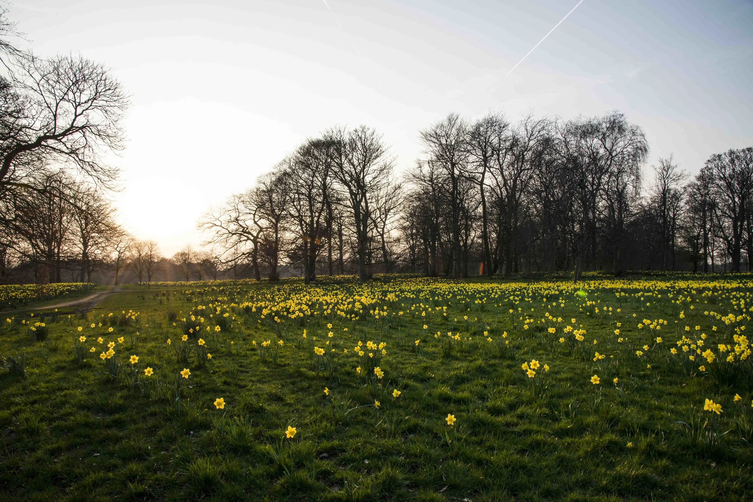 DSC_8789b copyright Grethe Borsum 2015.JPG