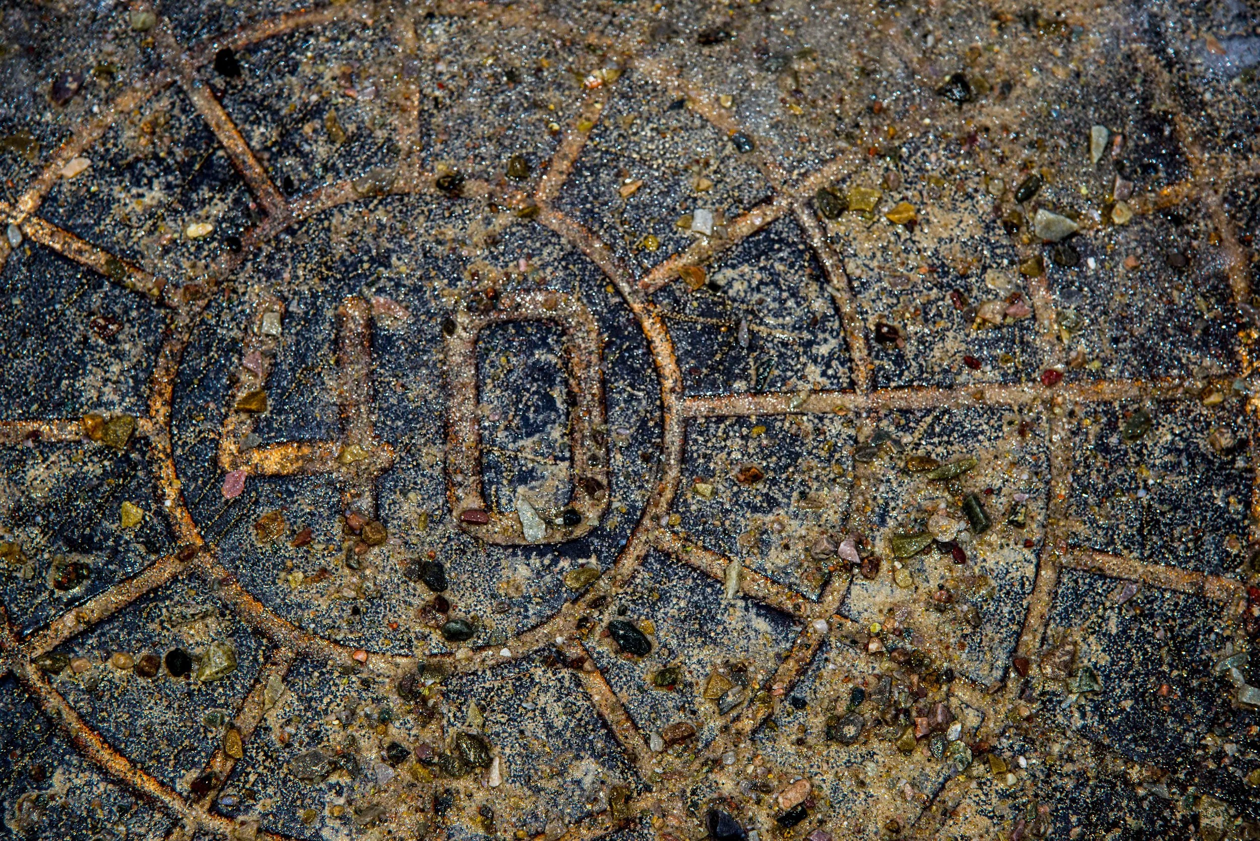 DSC_1598.JPG