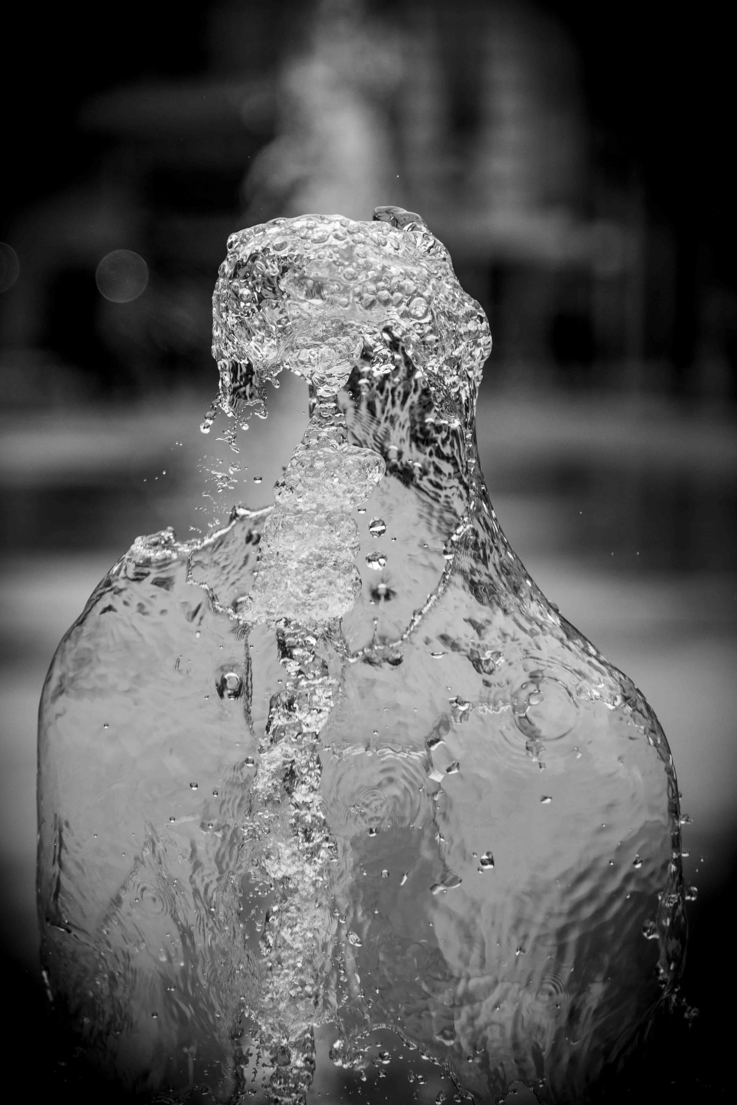 Document Name bw2_3.JPG