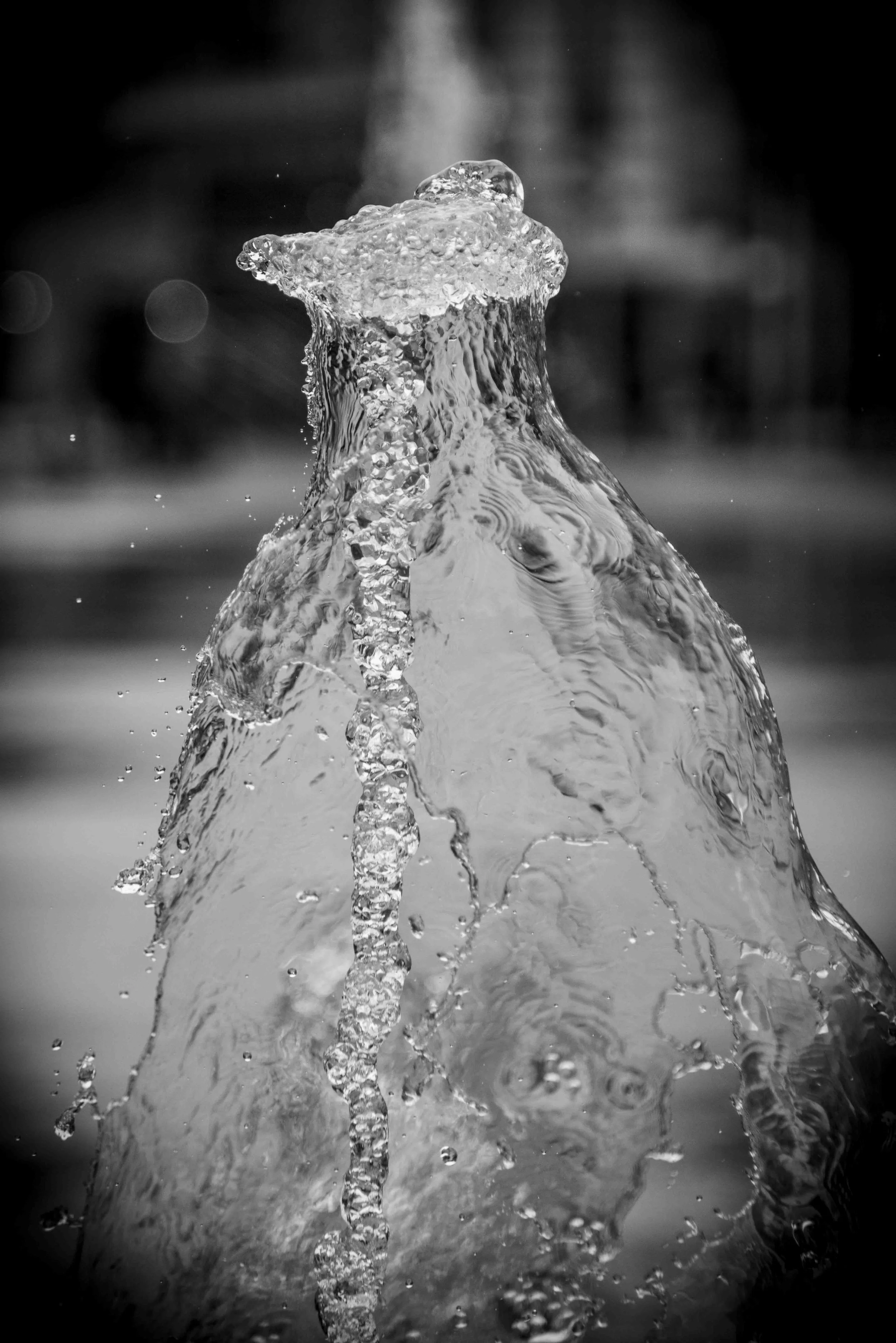 Document Name bw2_6.JPG