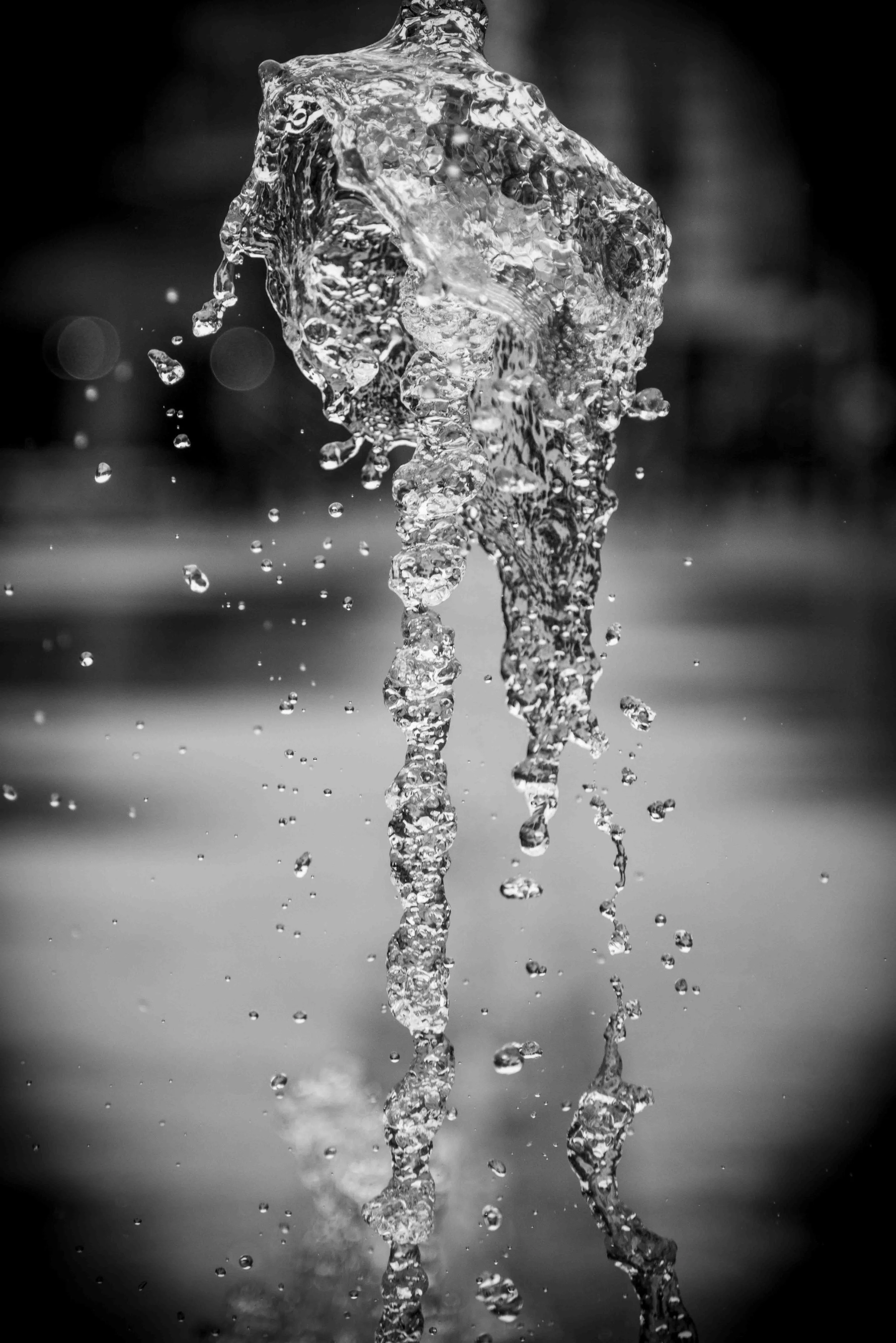 Document Name bw2_7.JPG