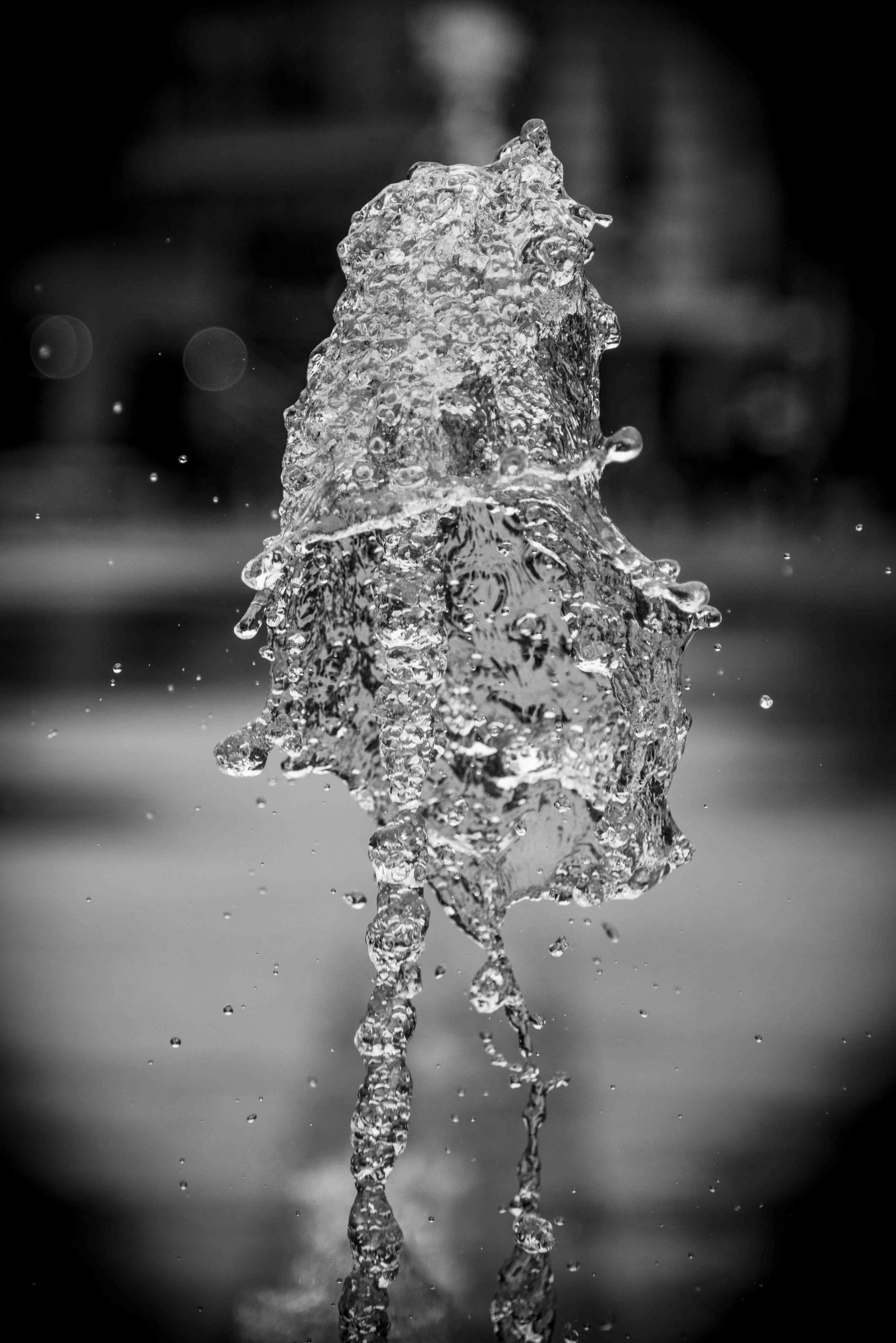 Document Name bw2_8.JPG