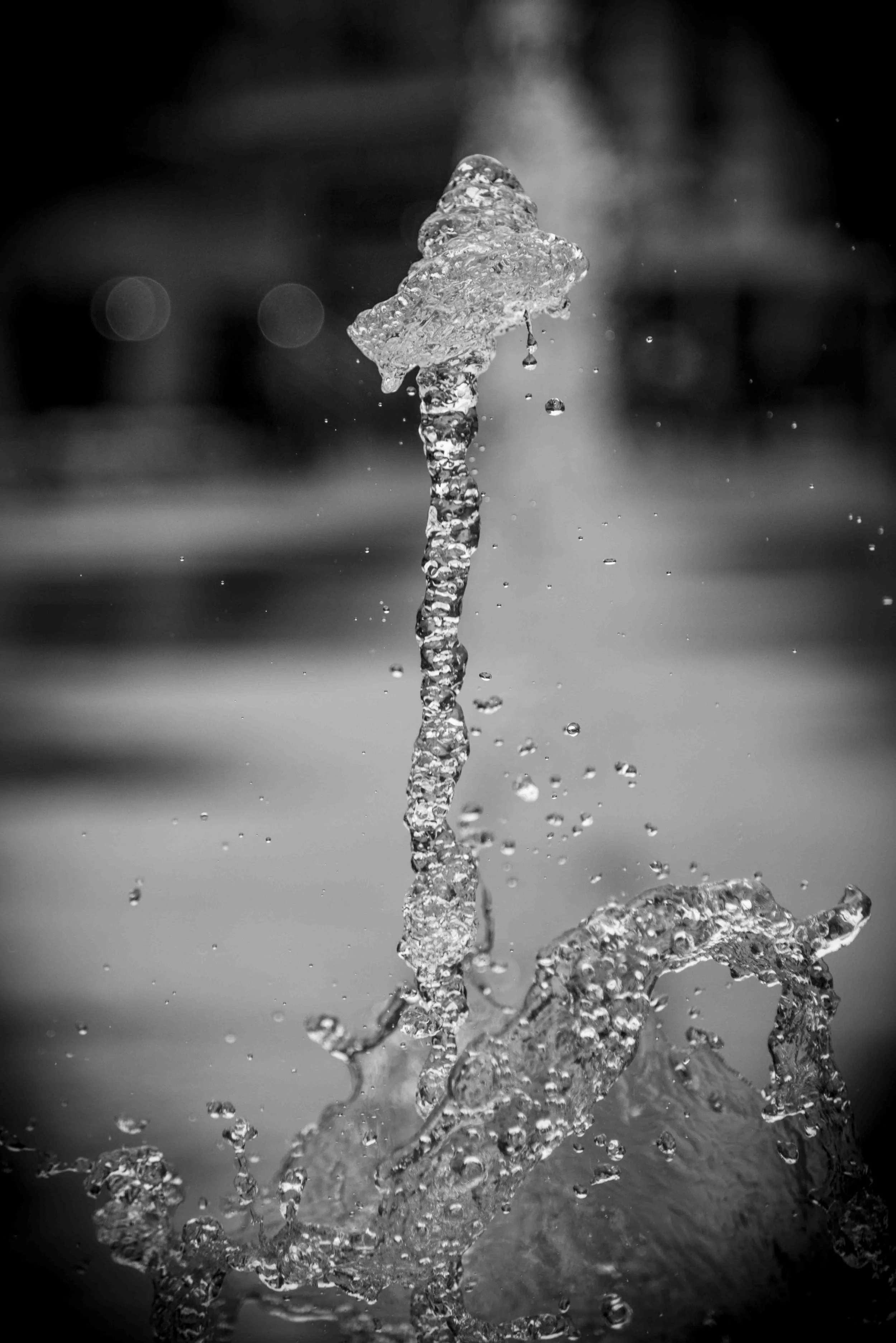 Document Name bw2_9.JPG