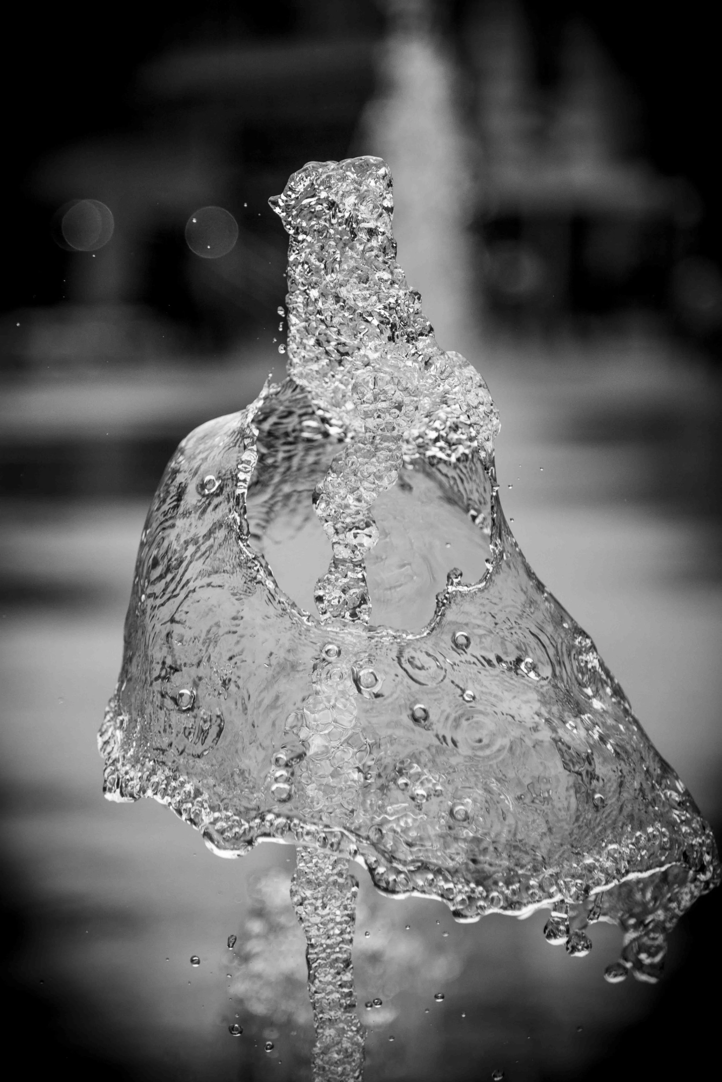 Document Name bw2_11.JPG