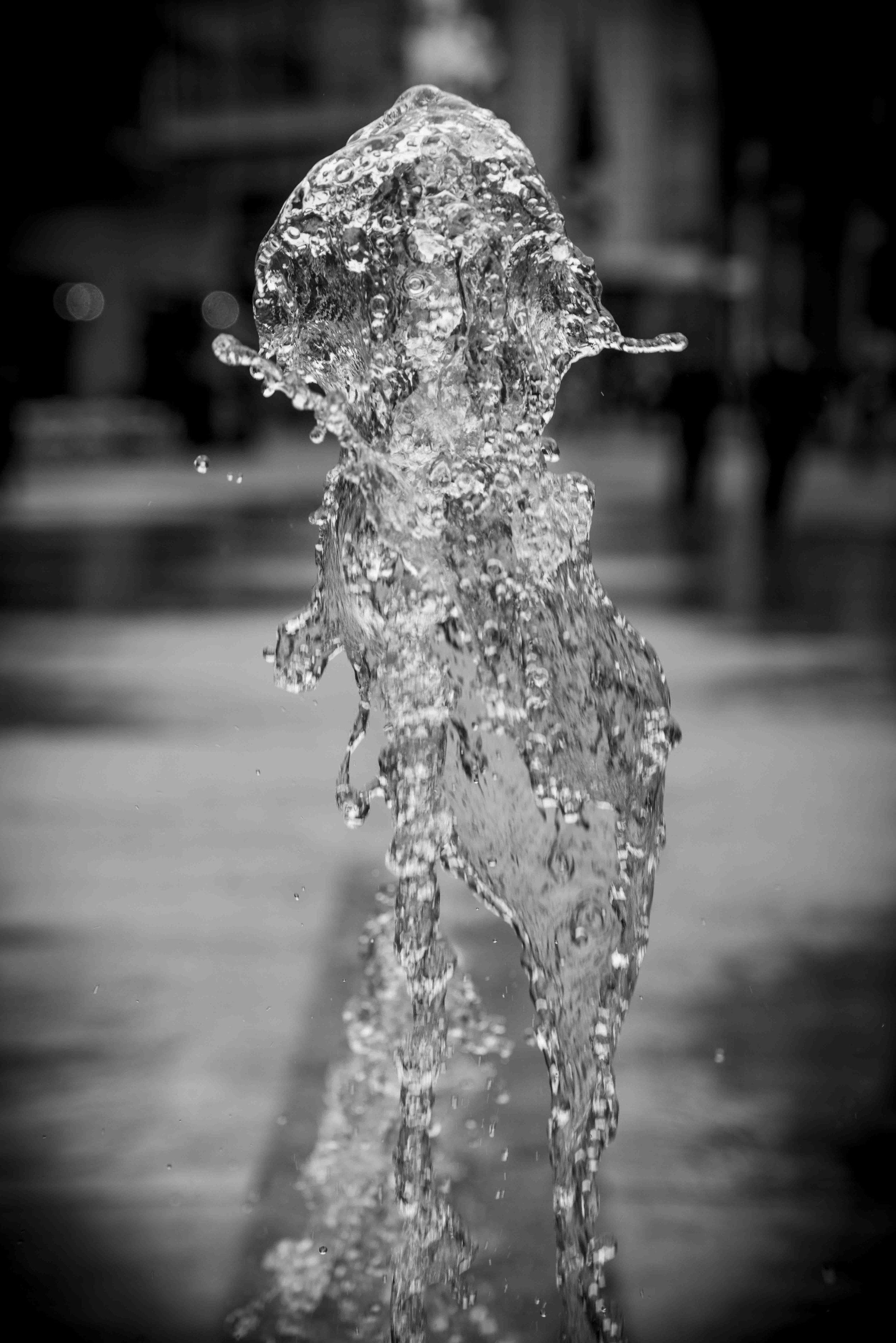 Document Name bw2.JPG