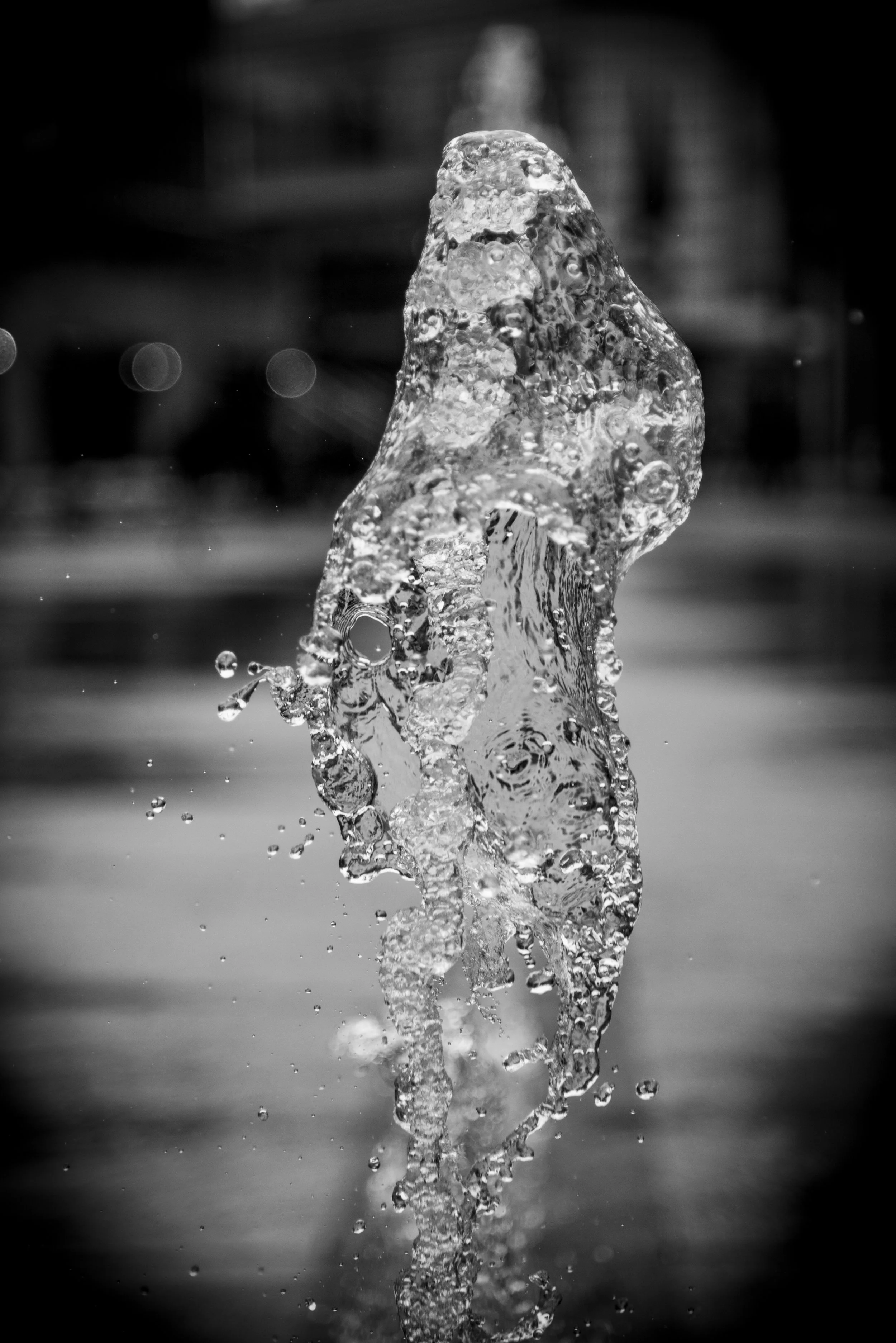 Document Name bw2_1.JPG