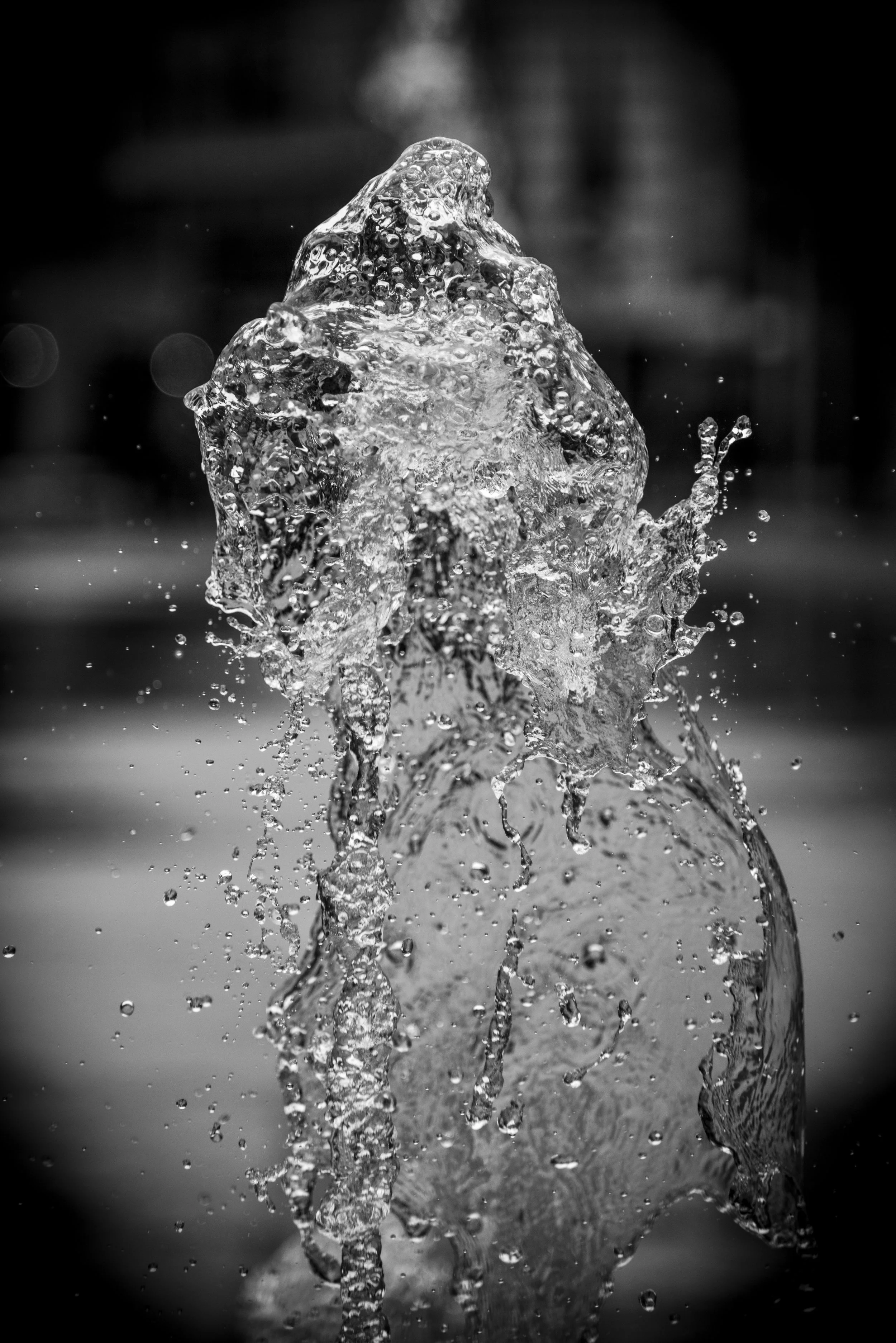 Document Name bw2_2.JPG