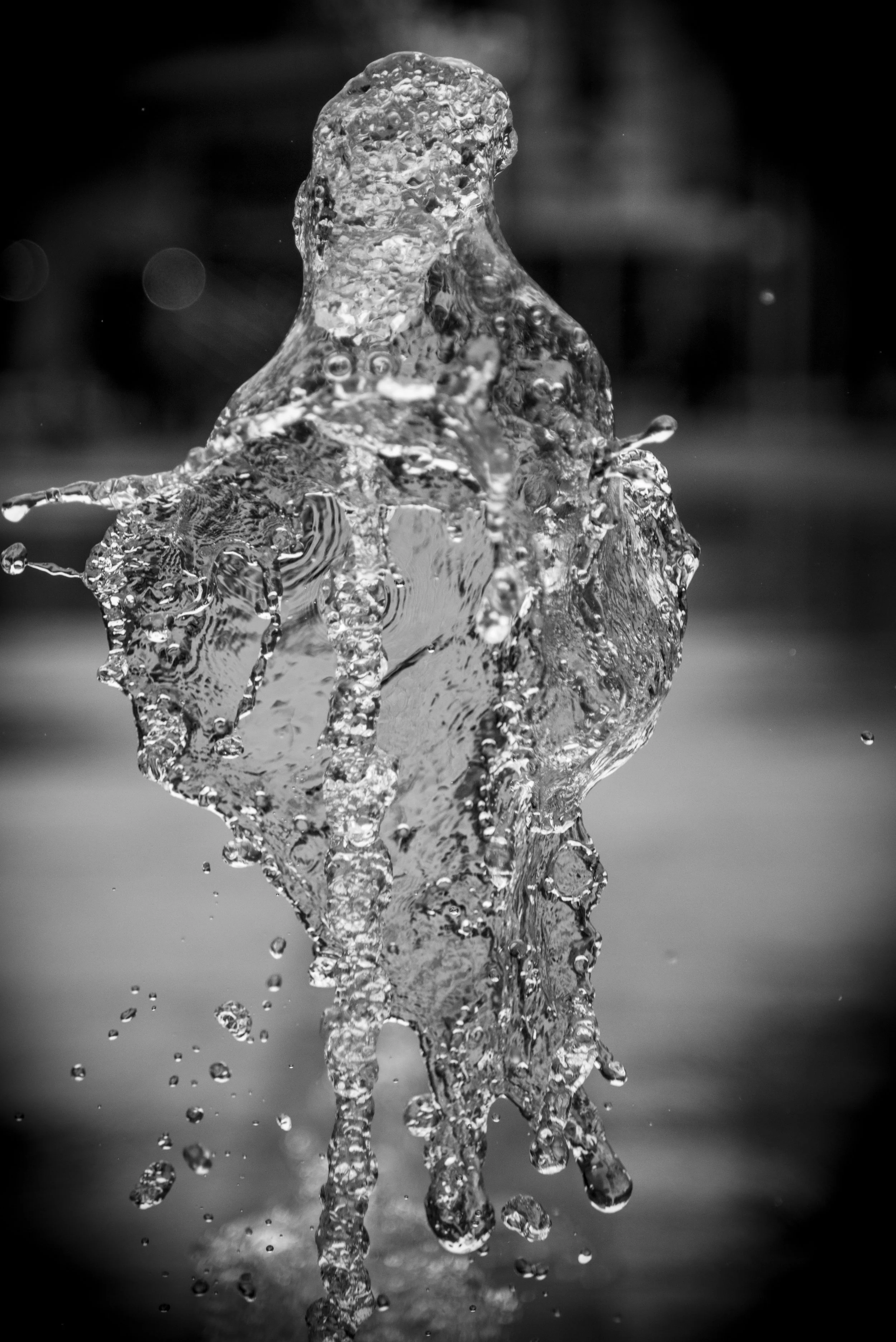 Document Name bw2_4.JPG