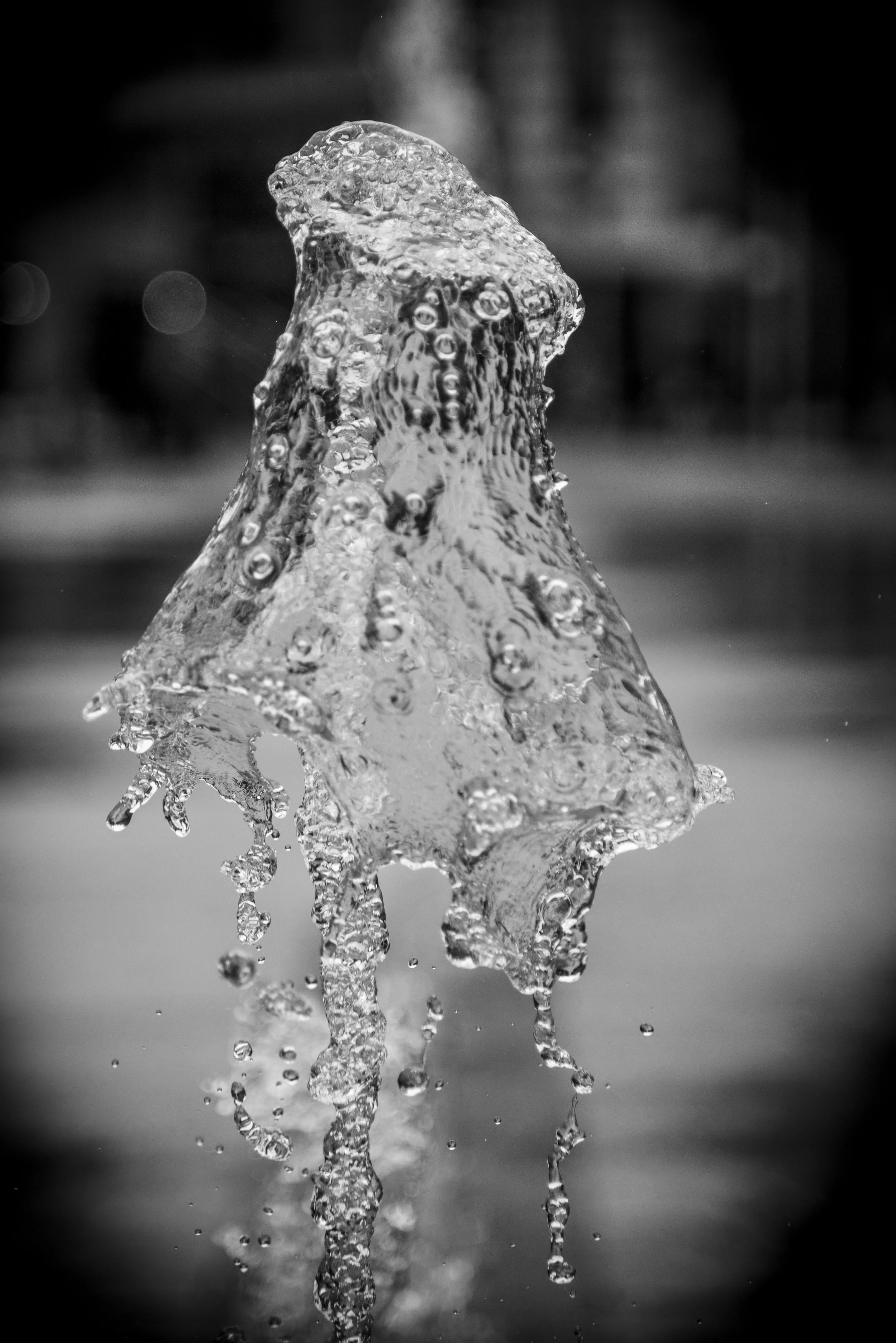 Document Name bw2_5.JPG