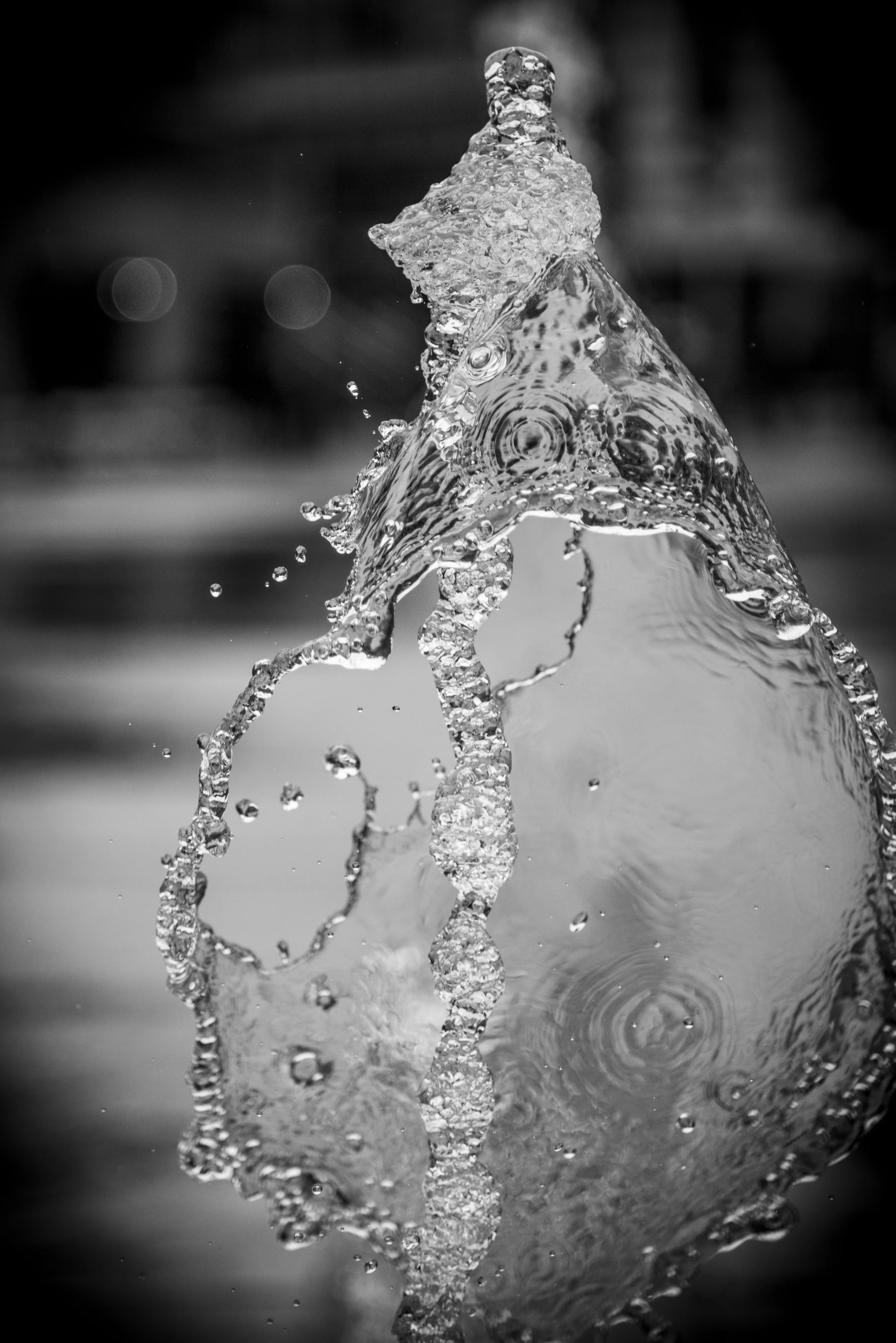 Document Name bw2_10.JPG