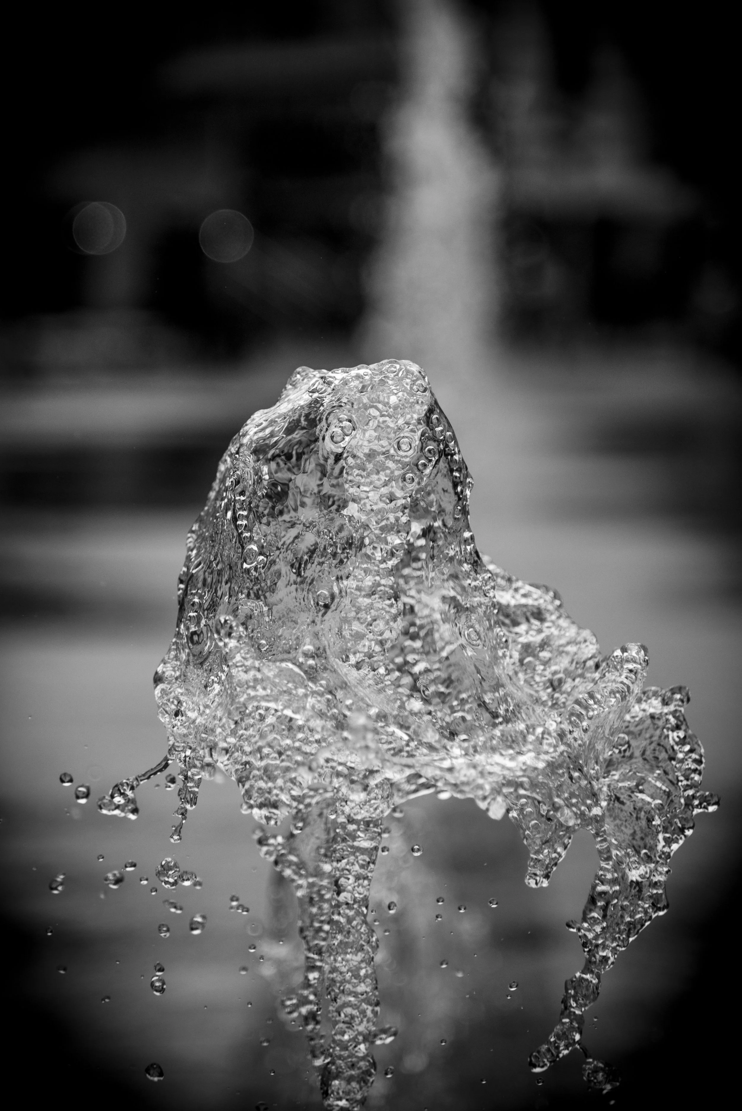 Document Name bw2_12.JPG