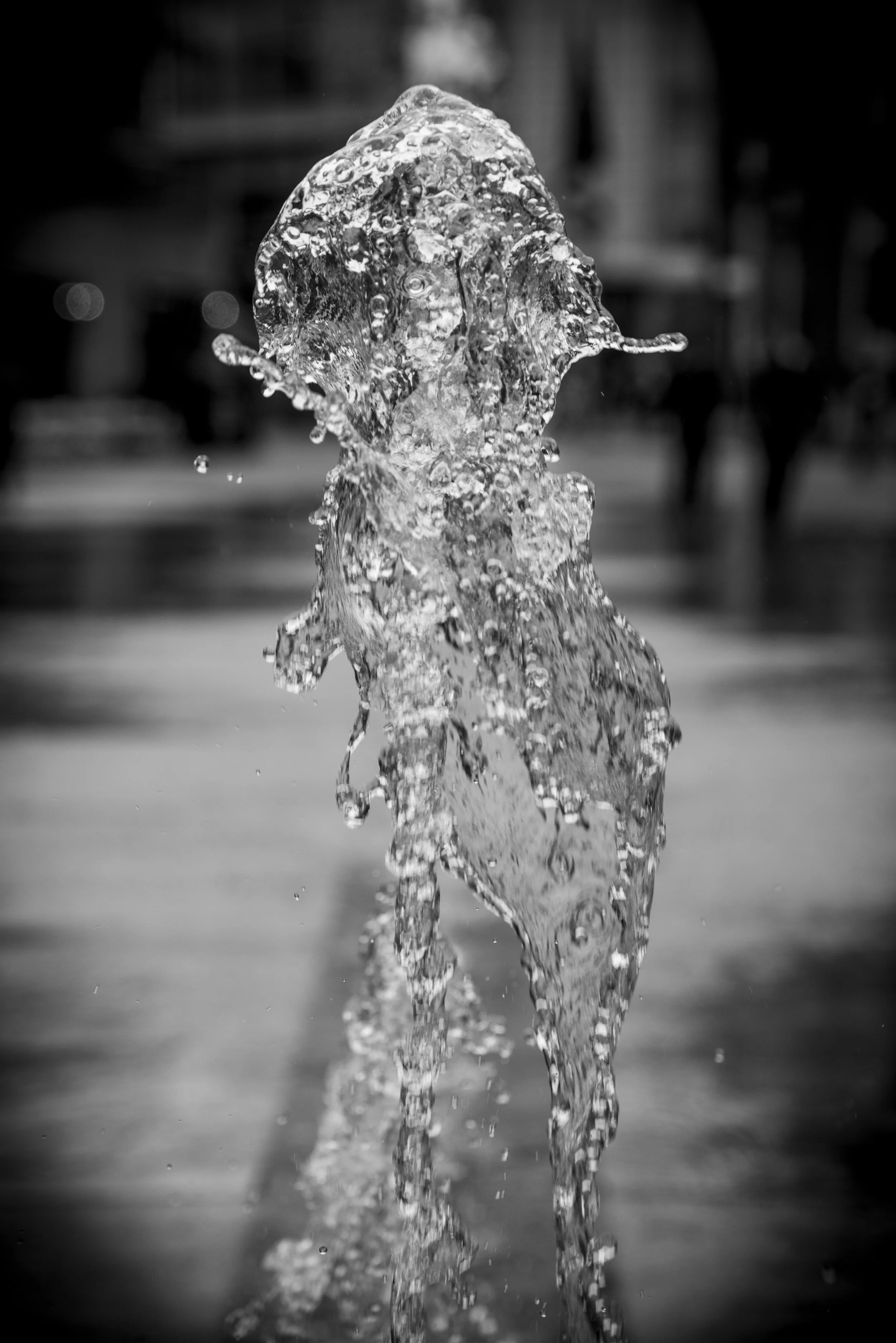 Document Name bw2.JPG