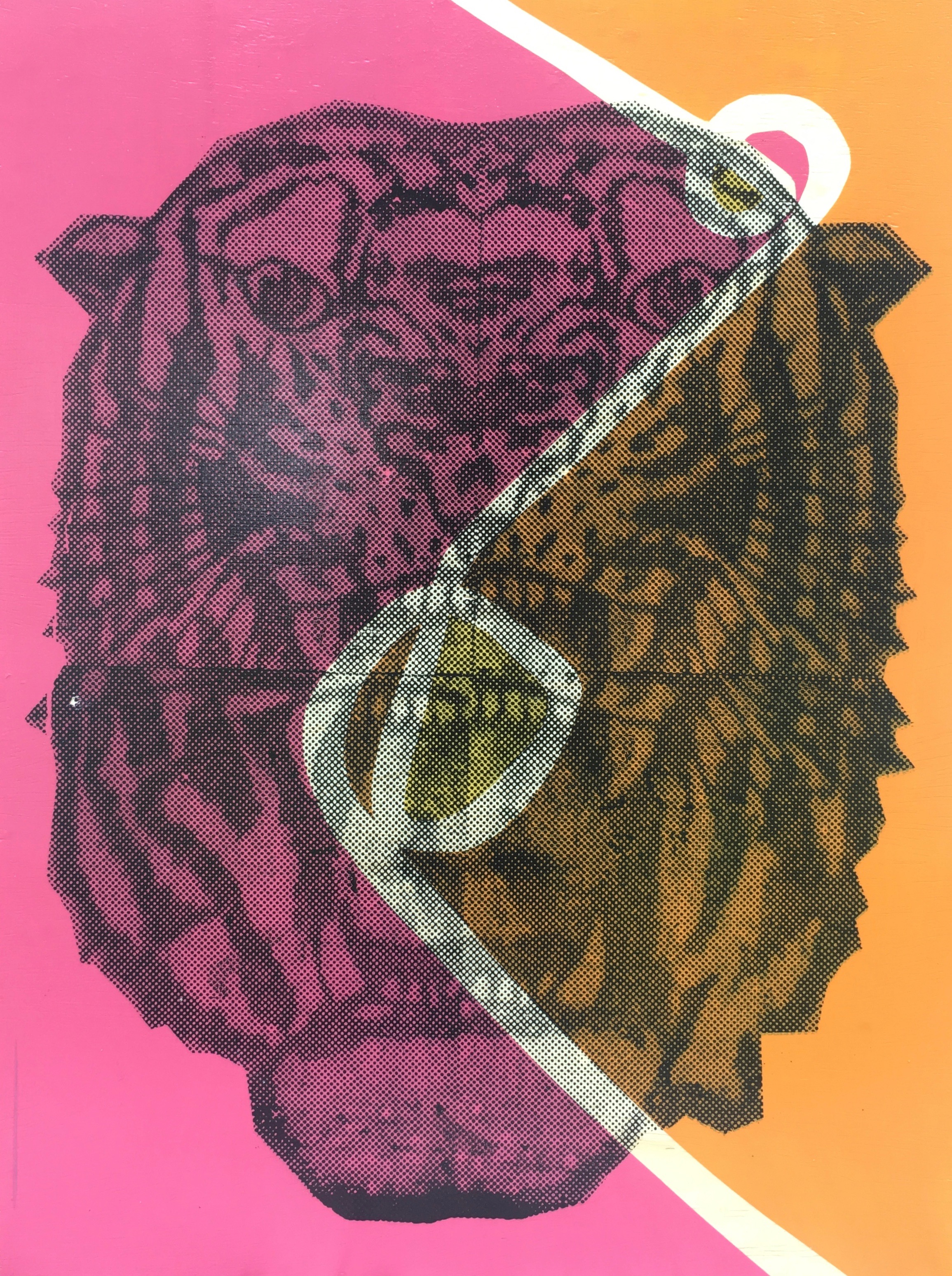 Joey Lynch Joey is a printmaker and graphic designer who works in a variety of mediums from bold paintings and prints on wood panels to band t-shirts, posters and album designs. See more of Joey's work on his website: https://joeylynch.com/