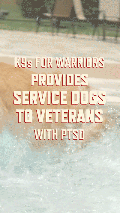 service.gif
