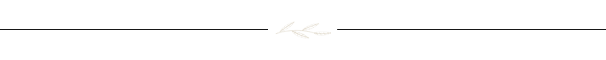 Divider-Top-3.png