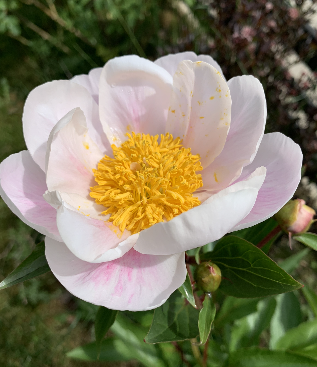 Screenshot 2026-04-22 at 12.08.31 PM.png