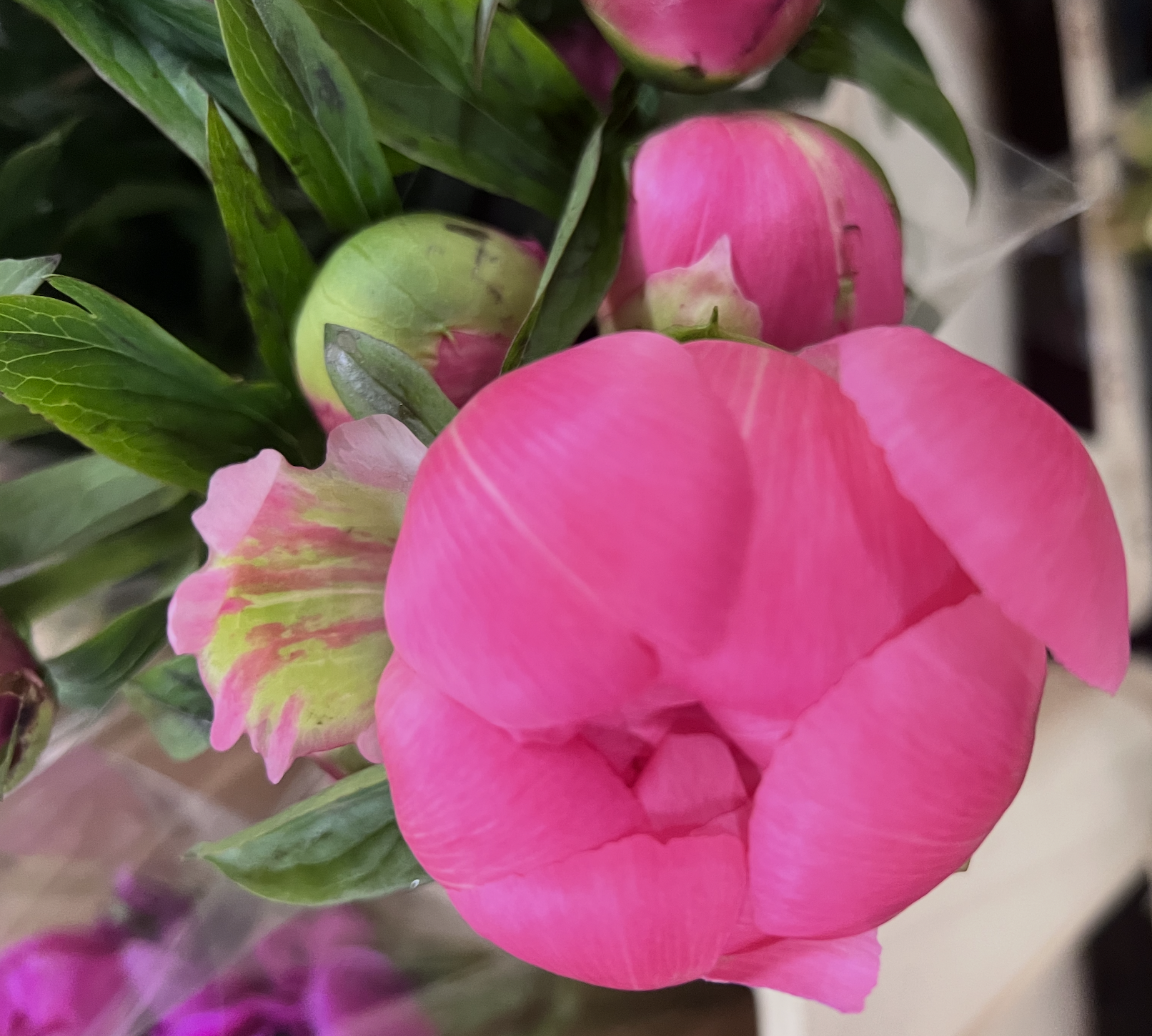 Screenshot 2026-04-22 at 12.08.15 PM.png