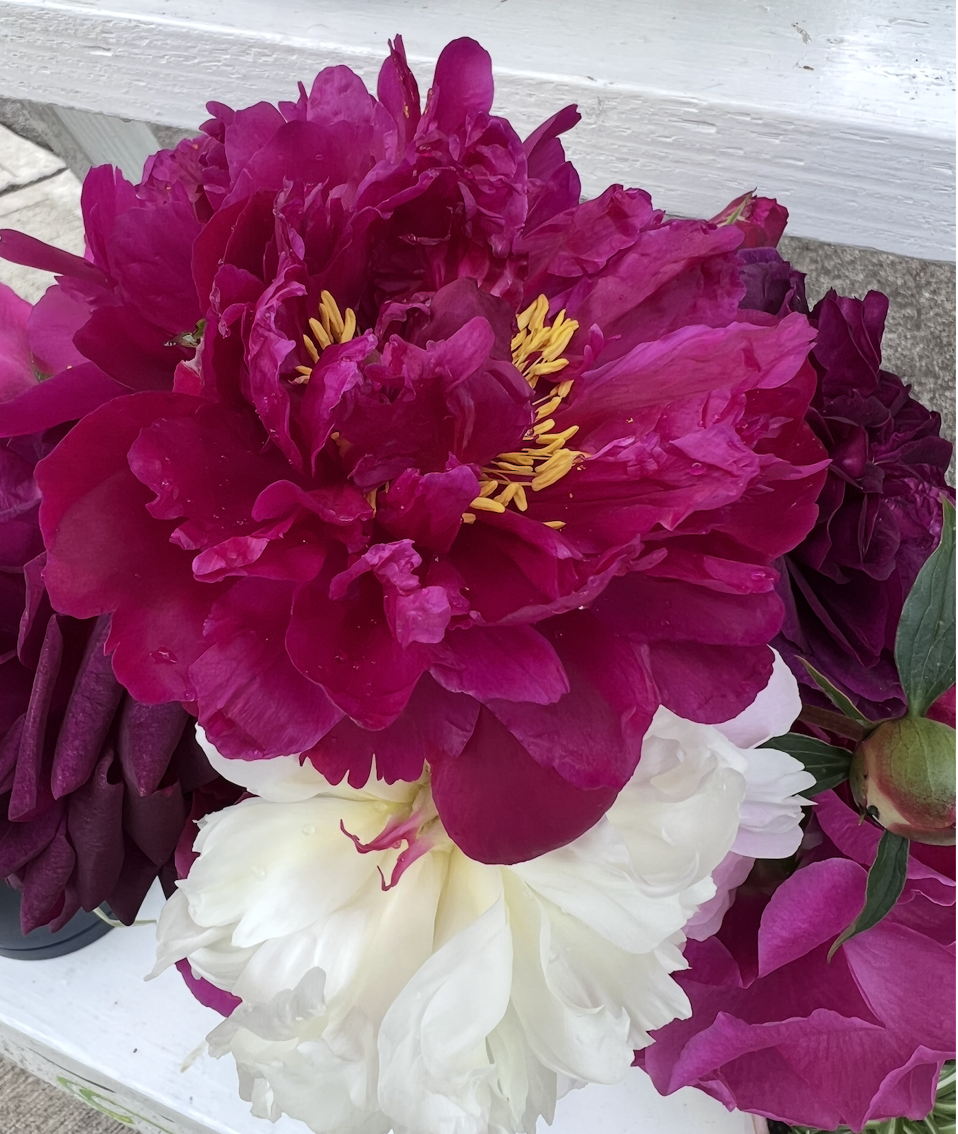 Screenshot 2026-04-22 at 12.08.00 PM.png