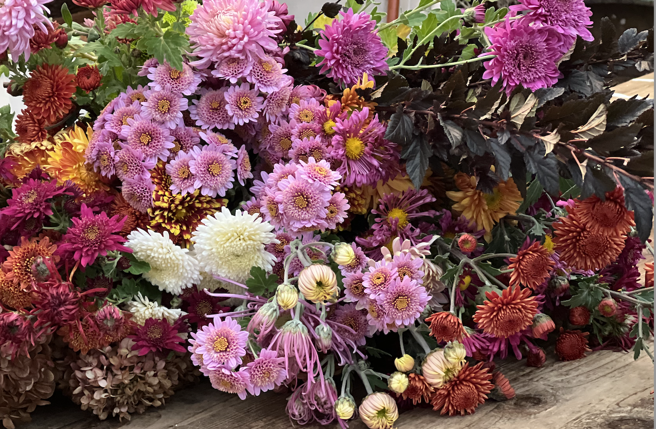 Screen Shot 2025-11-03 at 4.13.58 PM.png