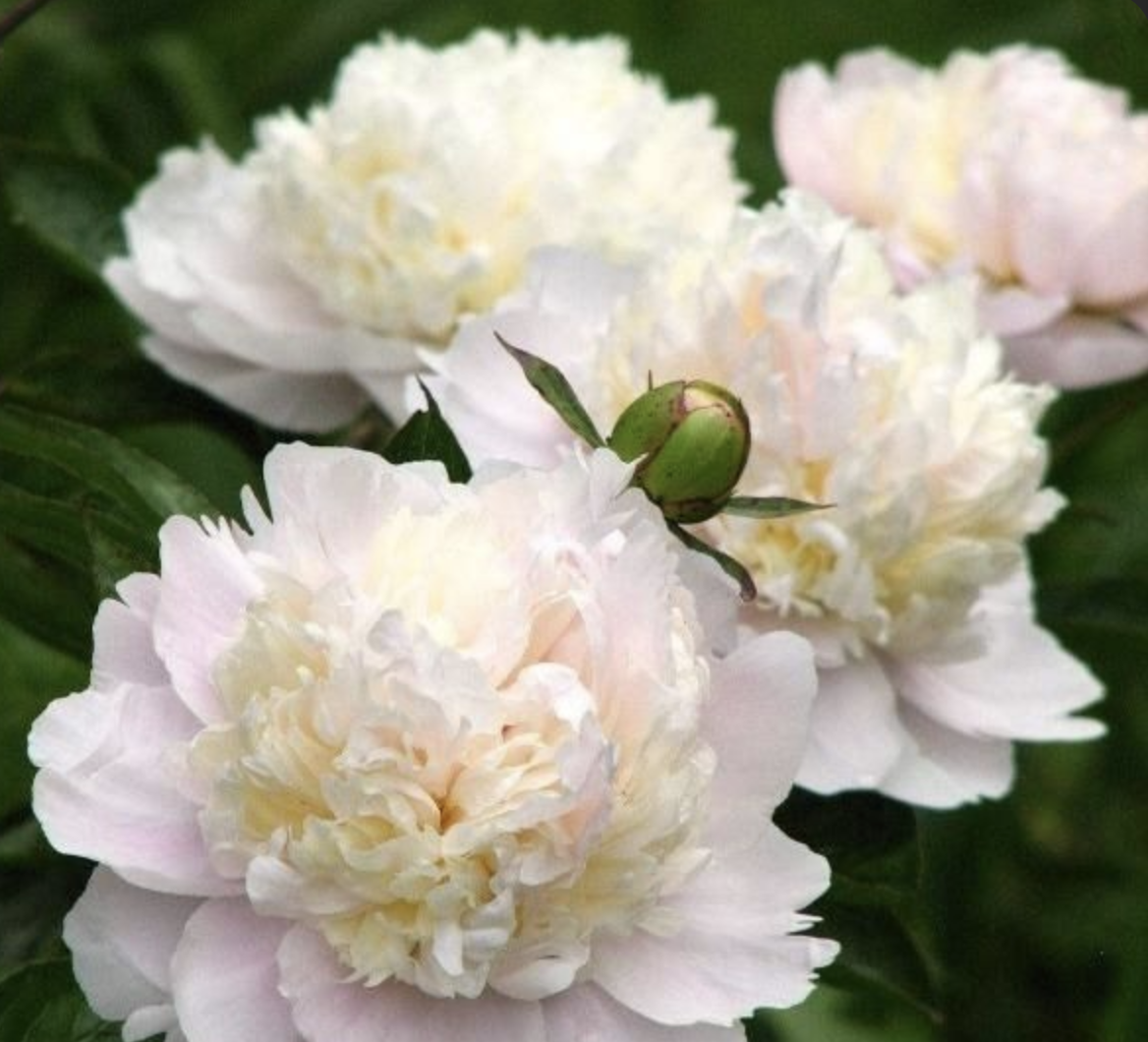 Screenshot 2026-04-22 at 12.09.32 PM.png