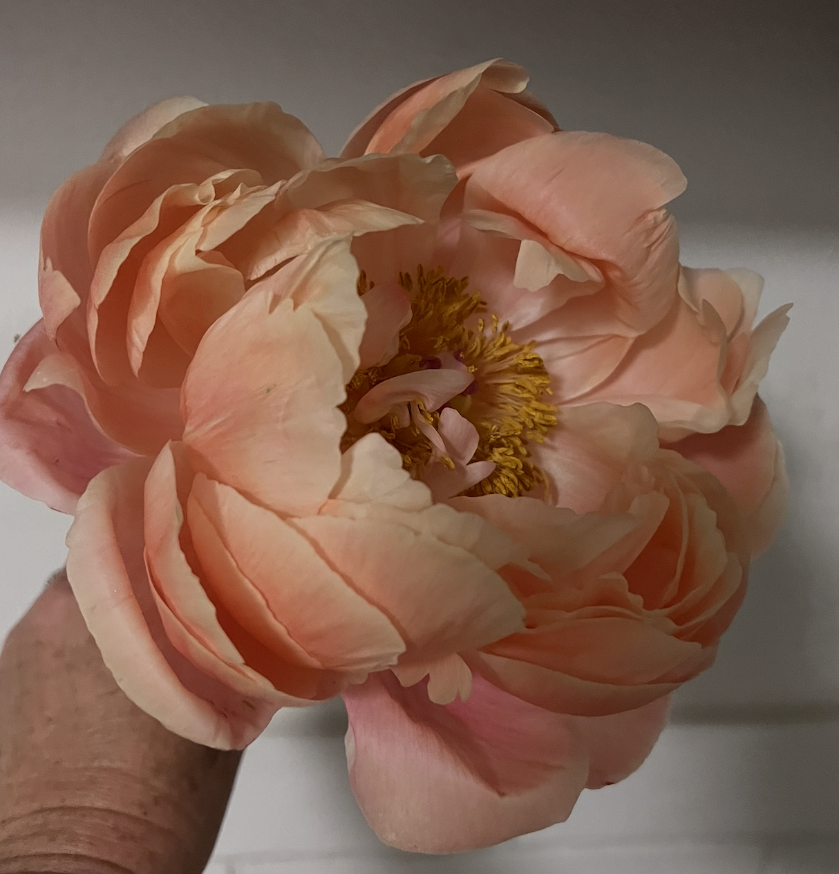 Screenshot 2026-04-22 at 12.08.08 PM.png