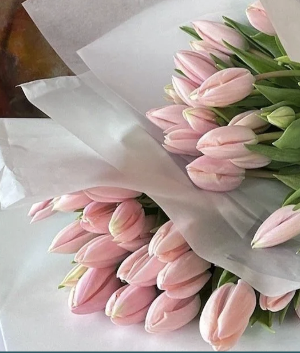 Screenshot 2026-02-03 at 9.03.05 AM.png